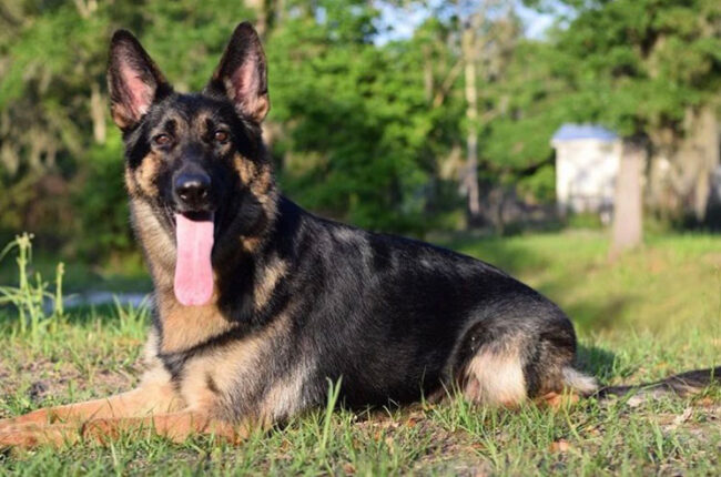 Mother: Chloe Von Der gifmaf