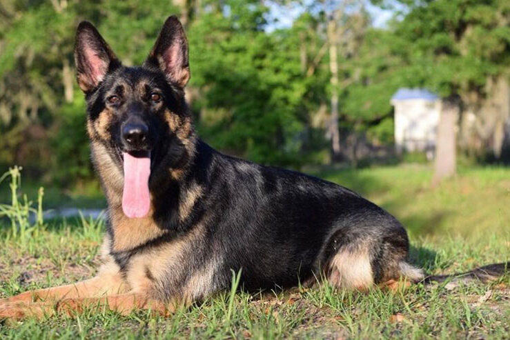 Mother: Chloe Von Der gifmaf