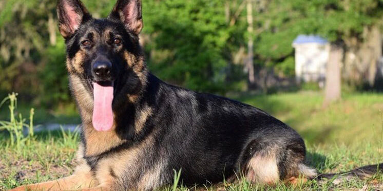 Mother: Chloe Von Der gifmaf