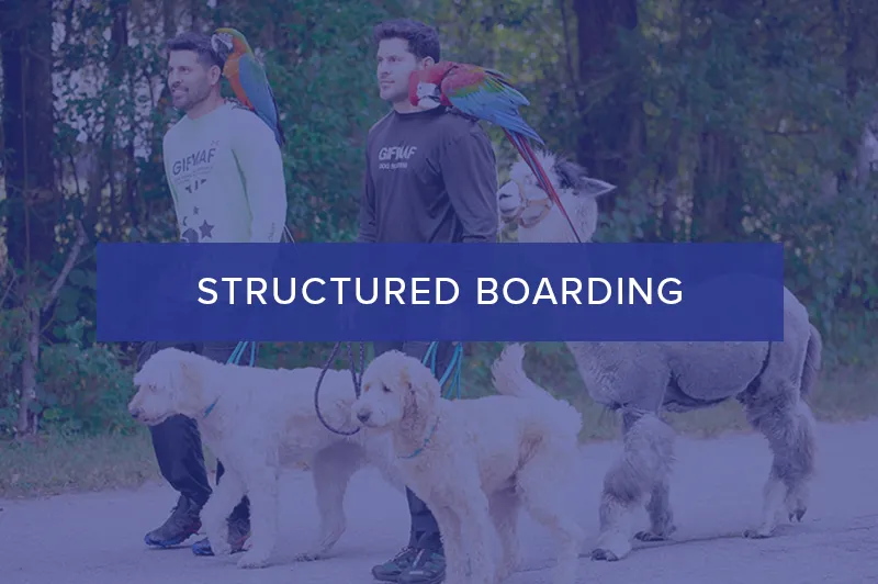 Structured Boarding